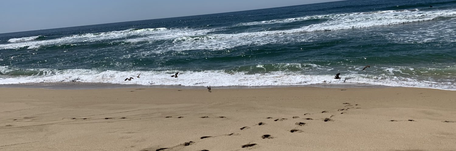 𝔄𝔩𝔣𝔯𝔢𝔡𝔬 𝔍𝔬𝔰𝔢 𝔐𝔞𝔯𝔱𝔦𝔫𝔢𝔷 𝔍ℜ banner