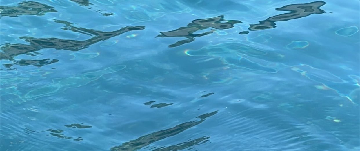 zepppy06's profile banner image
