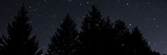 damxdamm's profile banner image