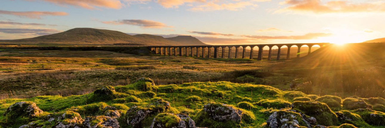 simoncwrightson - A Tyke 🚜🌲🎗️ banner