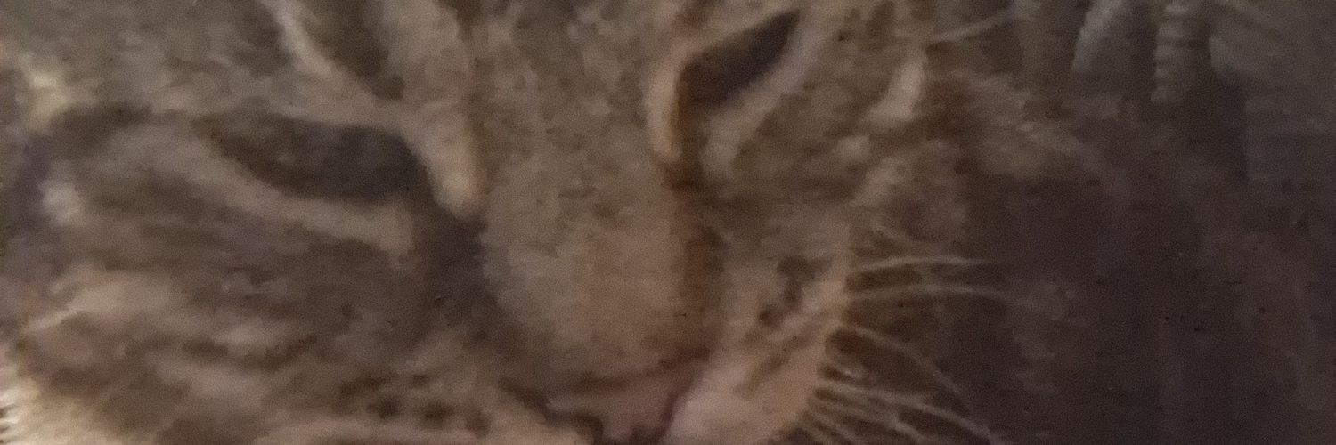 tangybugg's profile banner image