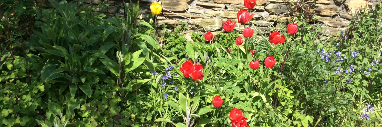 Louise Combes banner