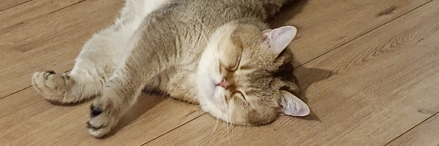ShortCATss's profile banner image