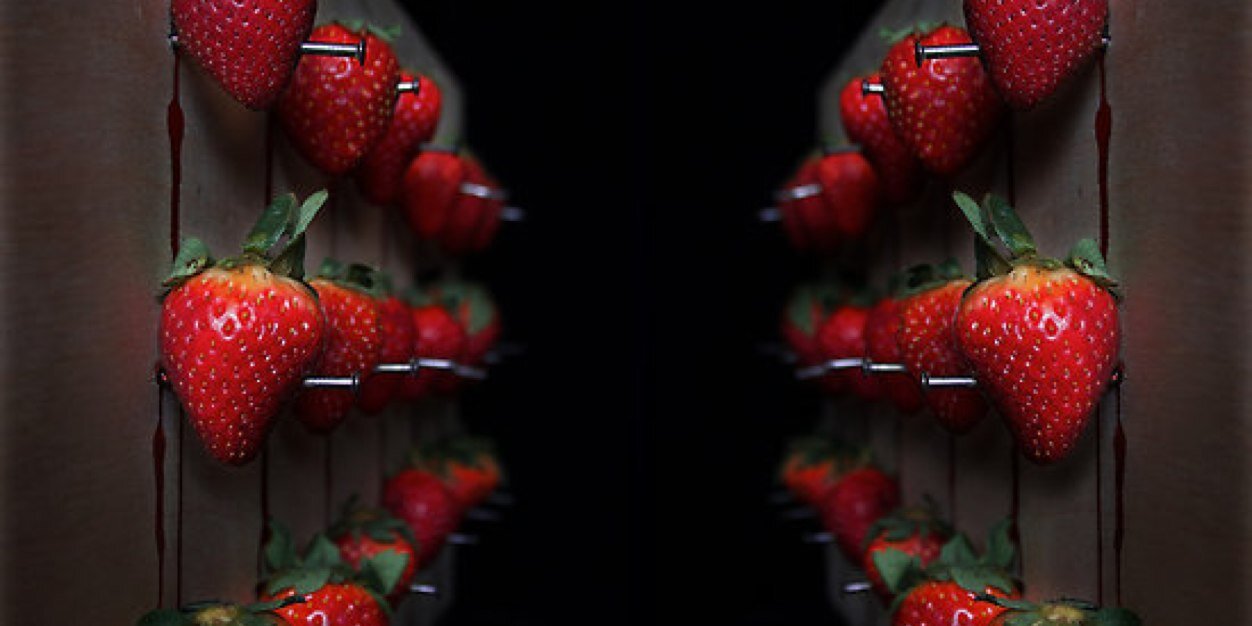 StevenASnow's profile banner image