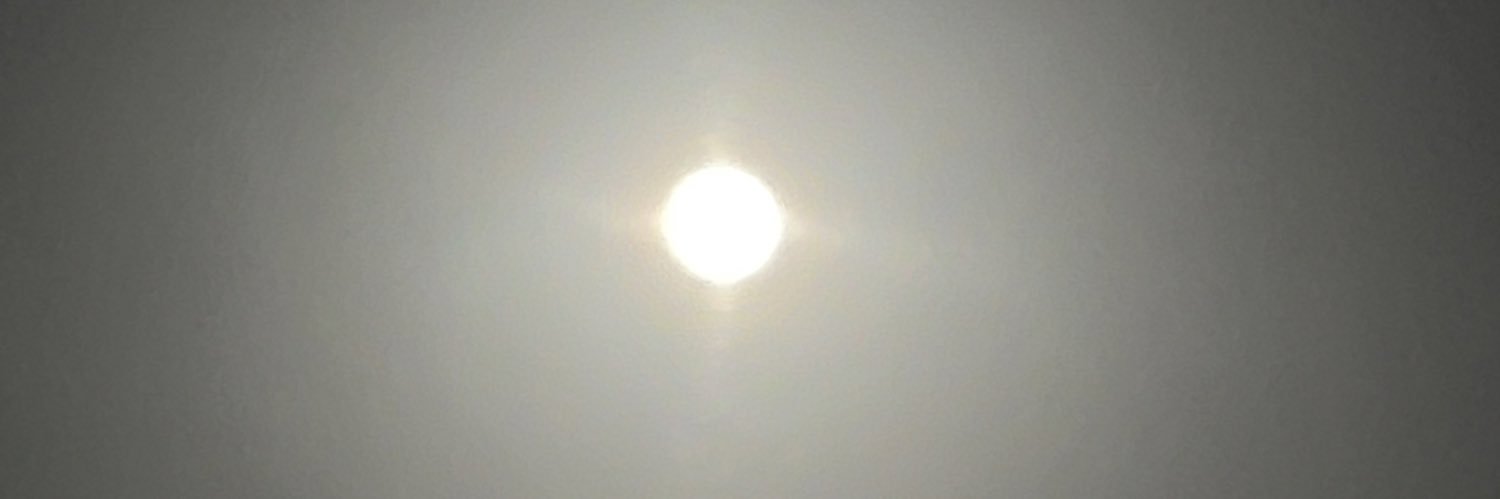 potito_II's profile banner image