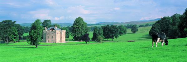 FrancisShaw Profile Banner