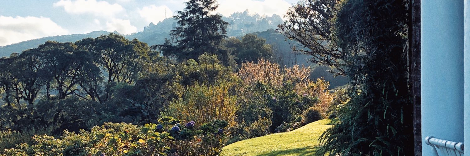 Julieta Tortosa banner