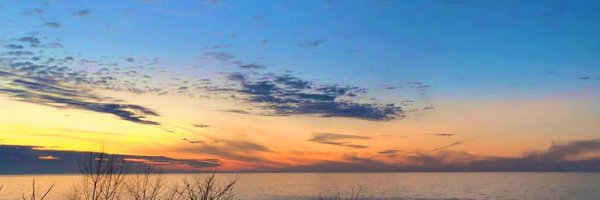 jamarie Profile Banner