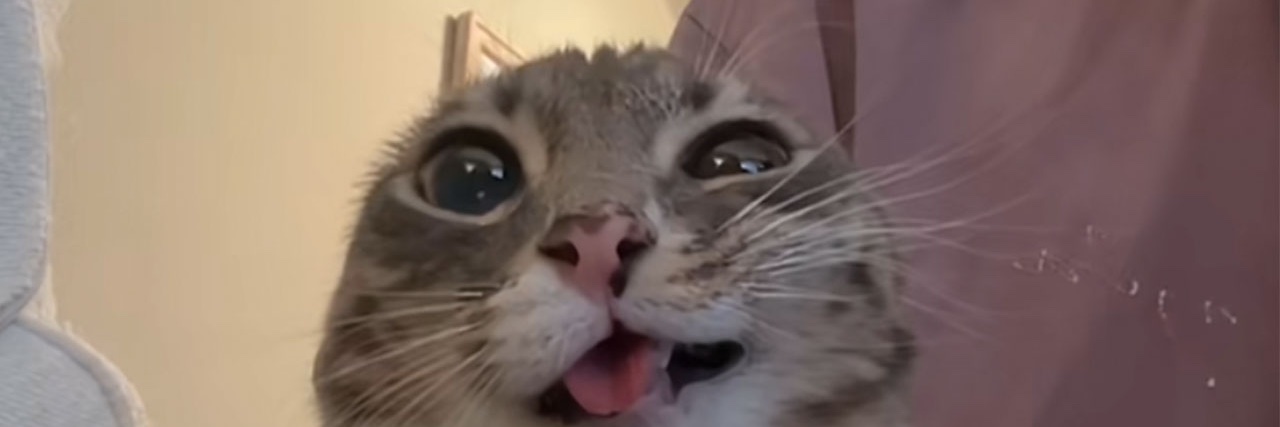 lettucGr's profile banner image