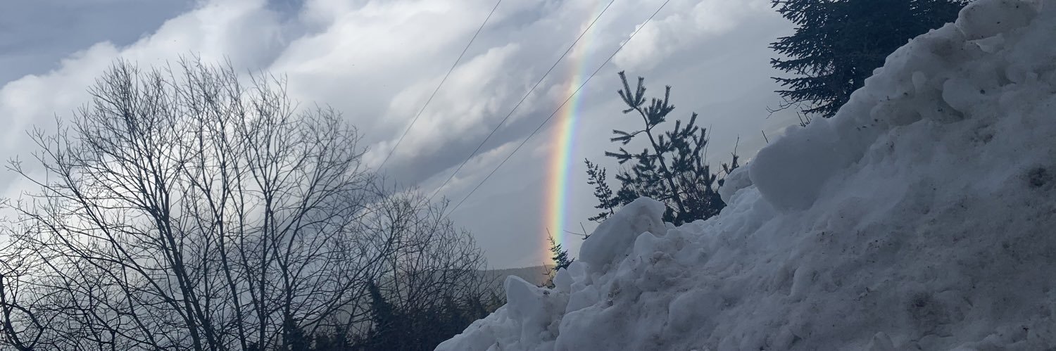 dogaus's profile banner image