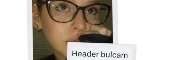 Linnn♡ *。 banner