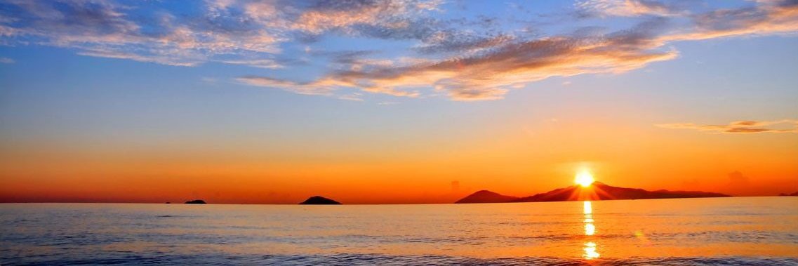 Sparkle Deinert banner