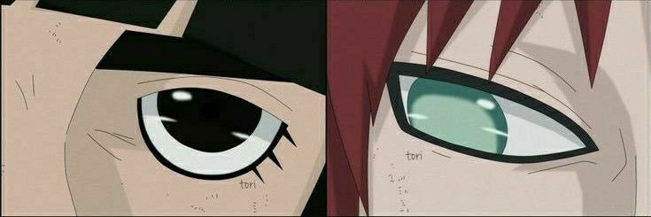 RaaaRaquis's profile banner image