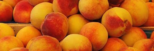 FEMBOY CULON 🍑💗 banner