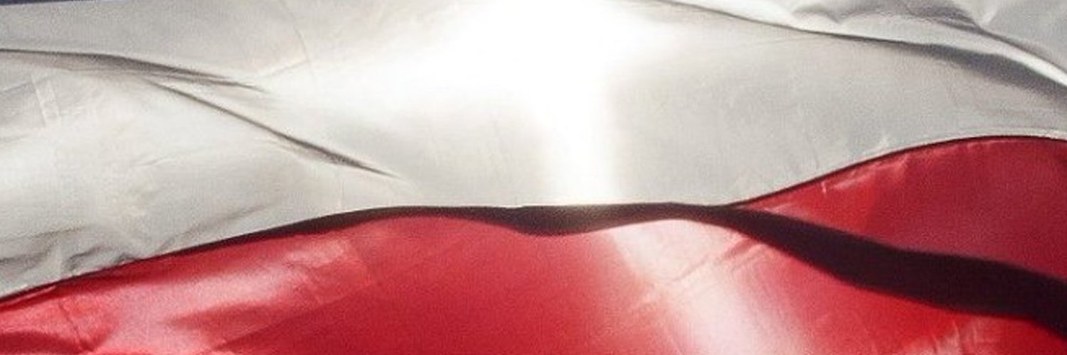 ViceVersa 🇵🇱 banner