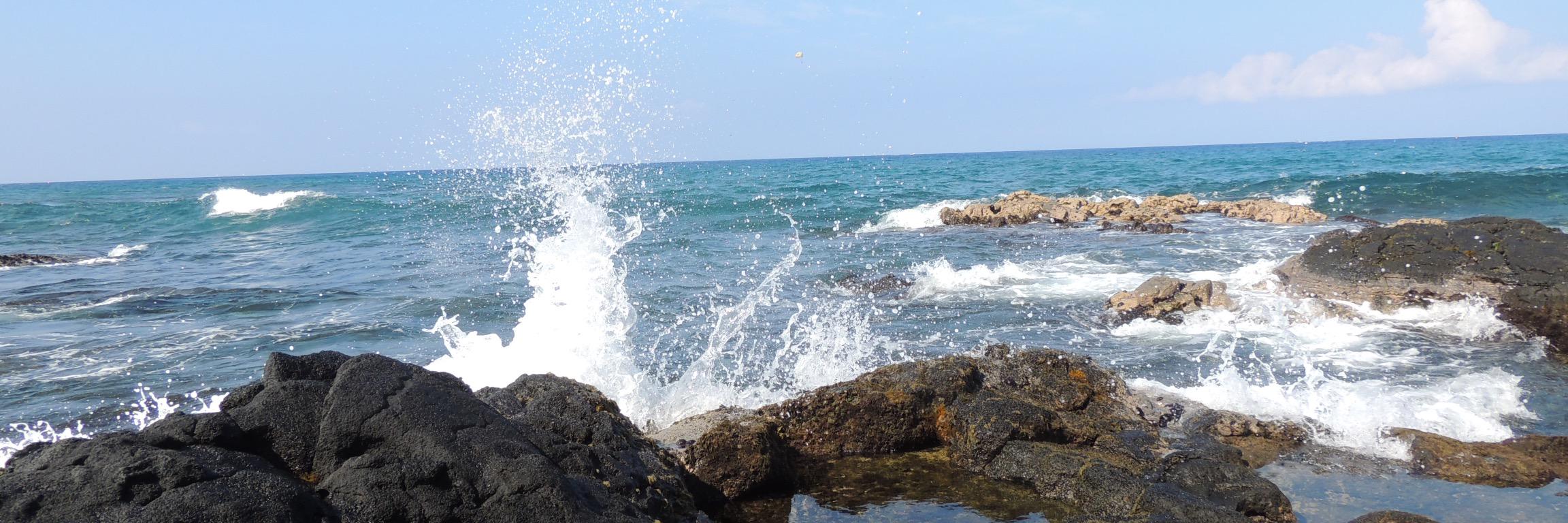 Richard Daskam banner