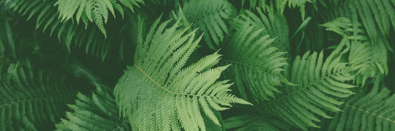 diannedouglas's profile banner image