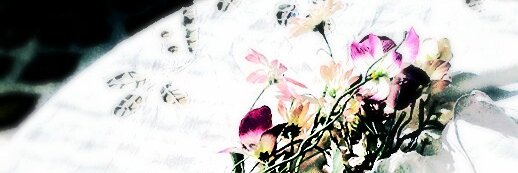 Lefterov333's profile banner image