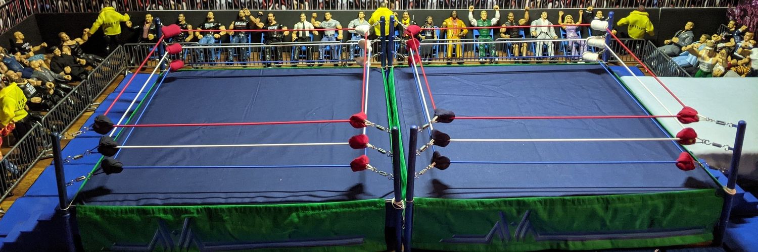 Kenneth C. Wells banner