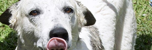 vnarayan Profile Banner