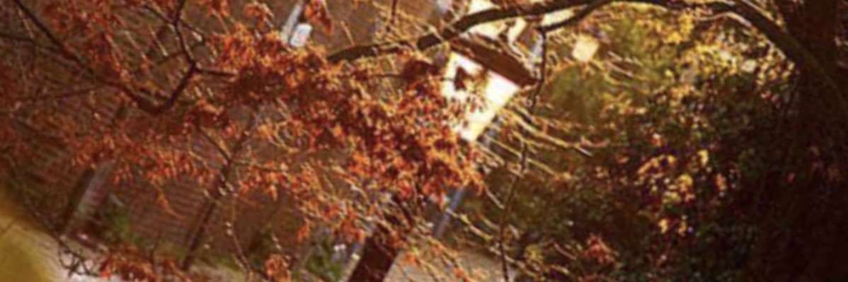 hoby0001's profile banner image