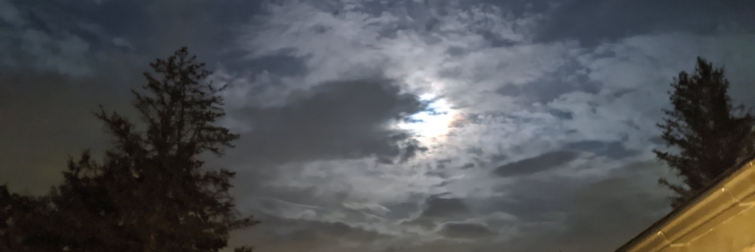 shawnrosko's profile banner image