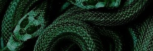 Acervo Moons banner