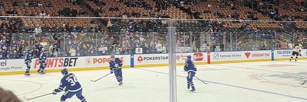 simonleafs banner