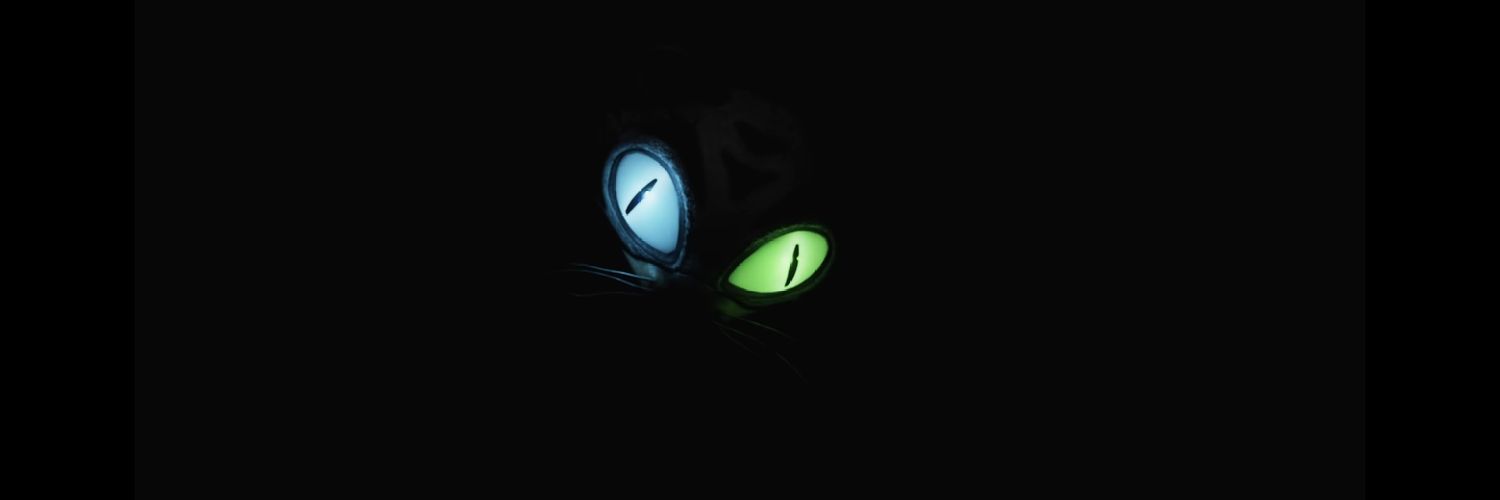 AleBN673's profile banner image