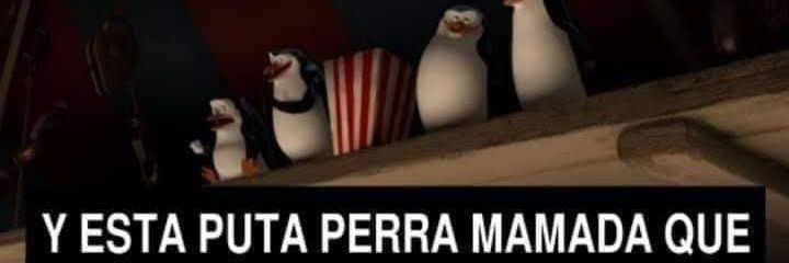 _Sebas_197's profile banner image