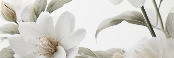 ItsMohrar7_ Profile Banner