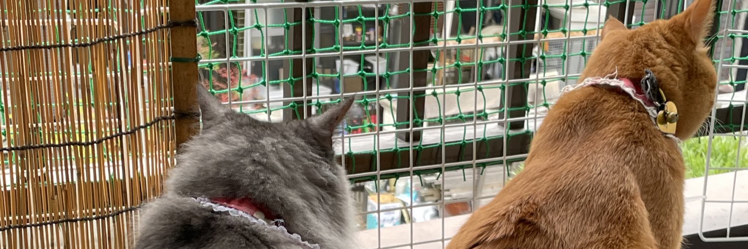 ルナしっぽ2 banner