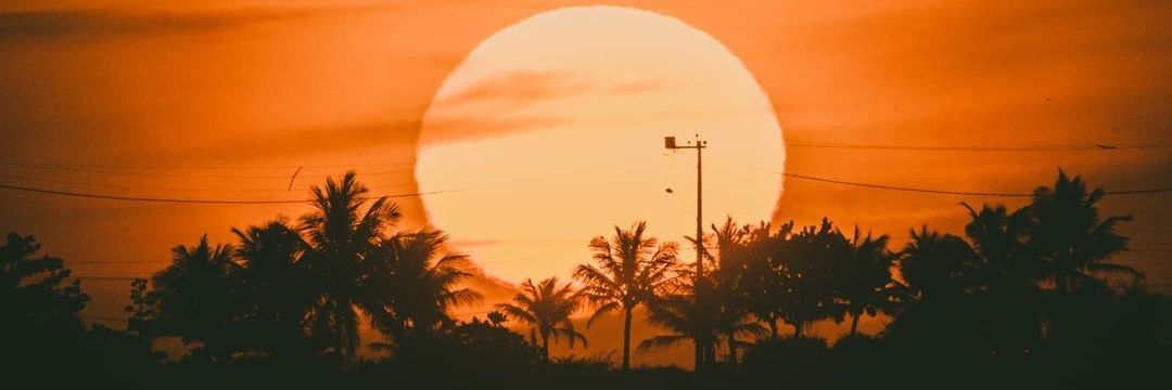 soyyocida's profile banner image