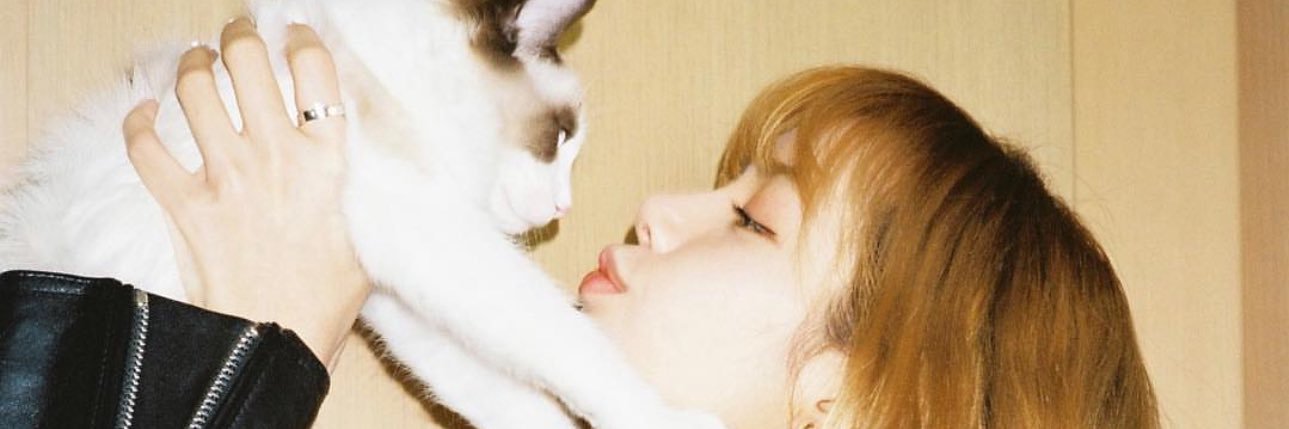 Elwaaaaaaaa's profile banner image