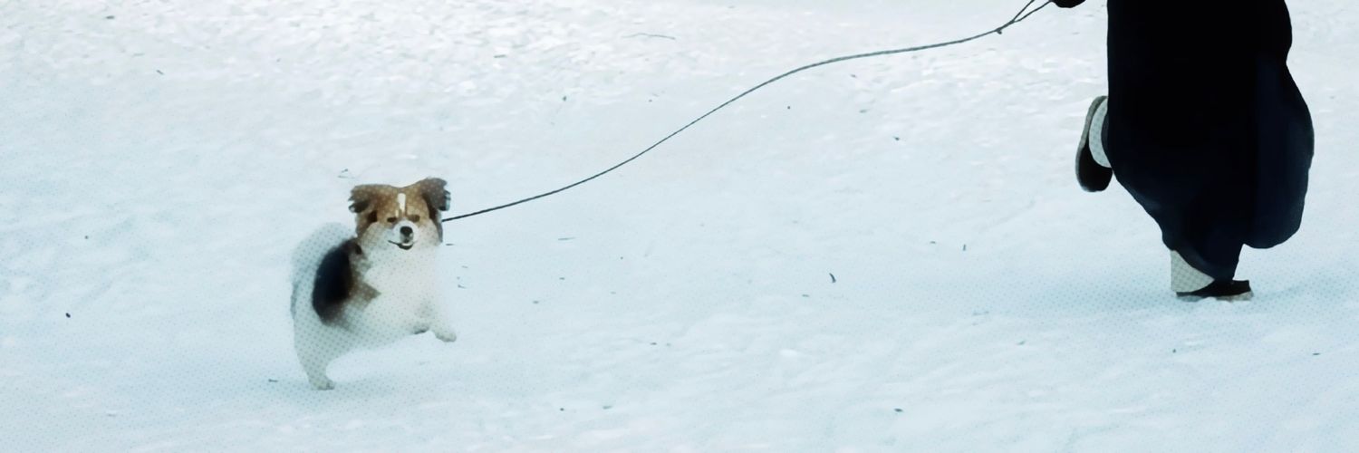 chuanyeah99's profile banner image