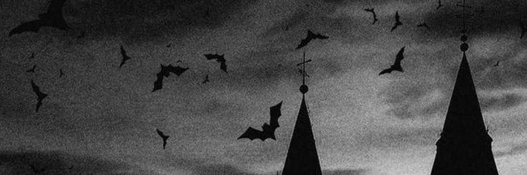 ࣪ ִֶָ☾.|𝐕𝐢𝐨'𝐬『𝔇𝔞𝔯𝔨 𝔰𝔬𝔲𝔩𝔰 ³』's banner