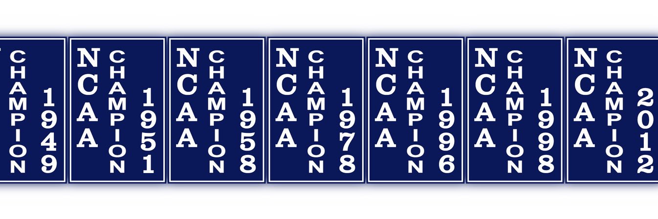 RexMex1980 banner