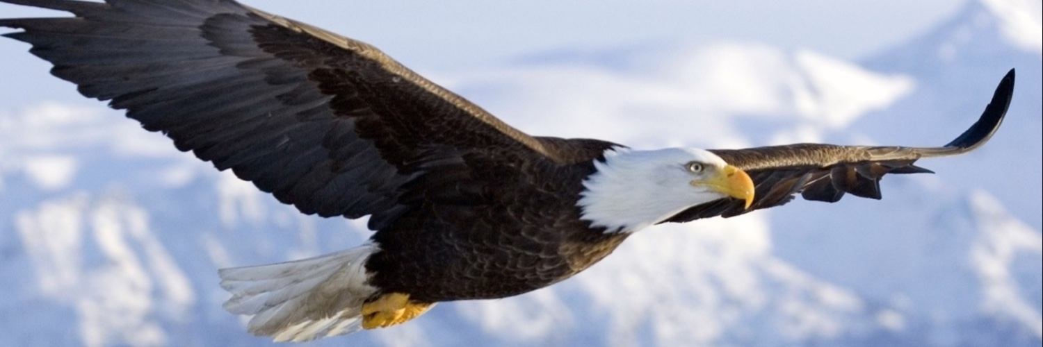 FreedomForAll banner