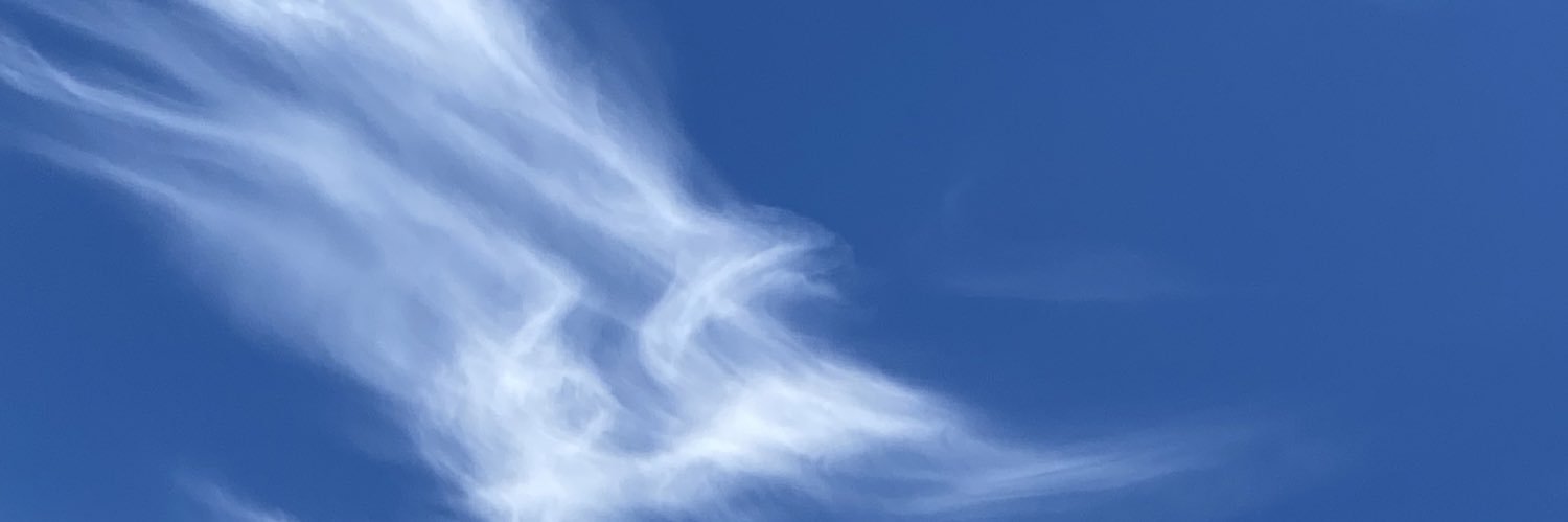 ChuanLi17985's profile banner image