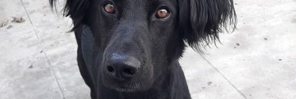 luzjosef's profile banner image
