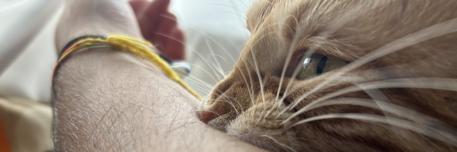utchbitch's profile banner image
