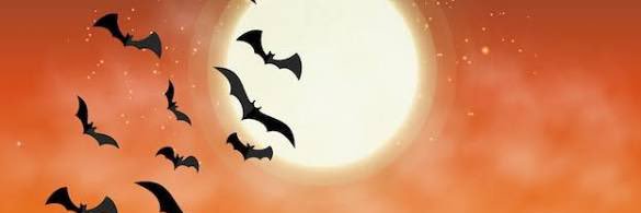 CrimeAndPunishment🔞🏳️‍⚧️ banner