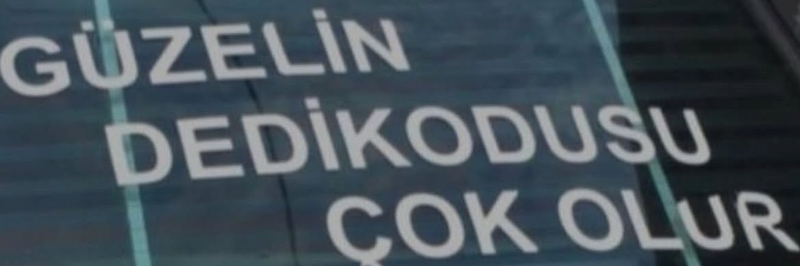 gokceecereen's profile banner image