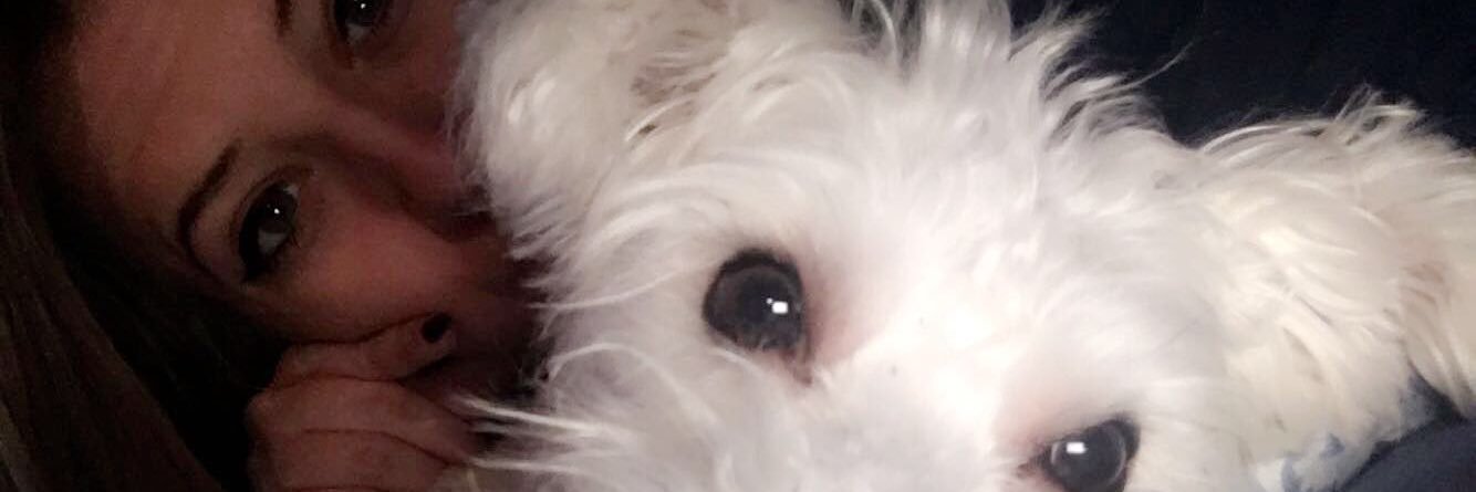 AngBx04's profile banner image