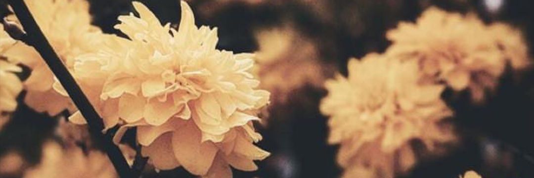 humanerrowrr's profile banner image