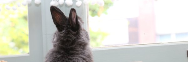 ojikaede Profile Banner