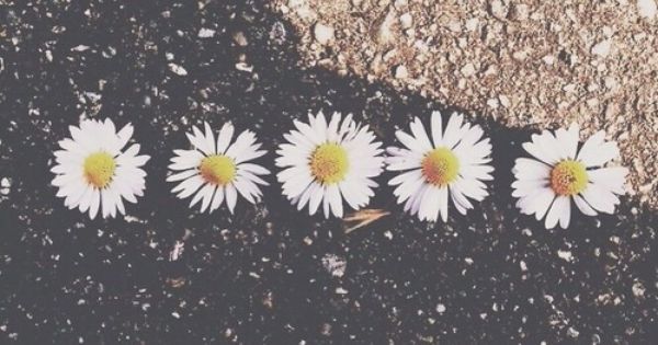 Frntn_'s profile banner image