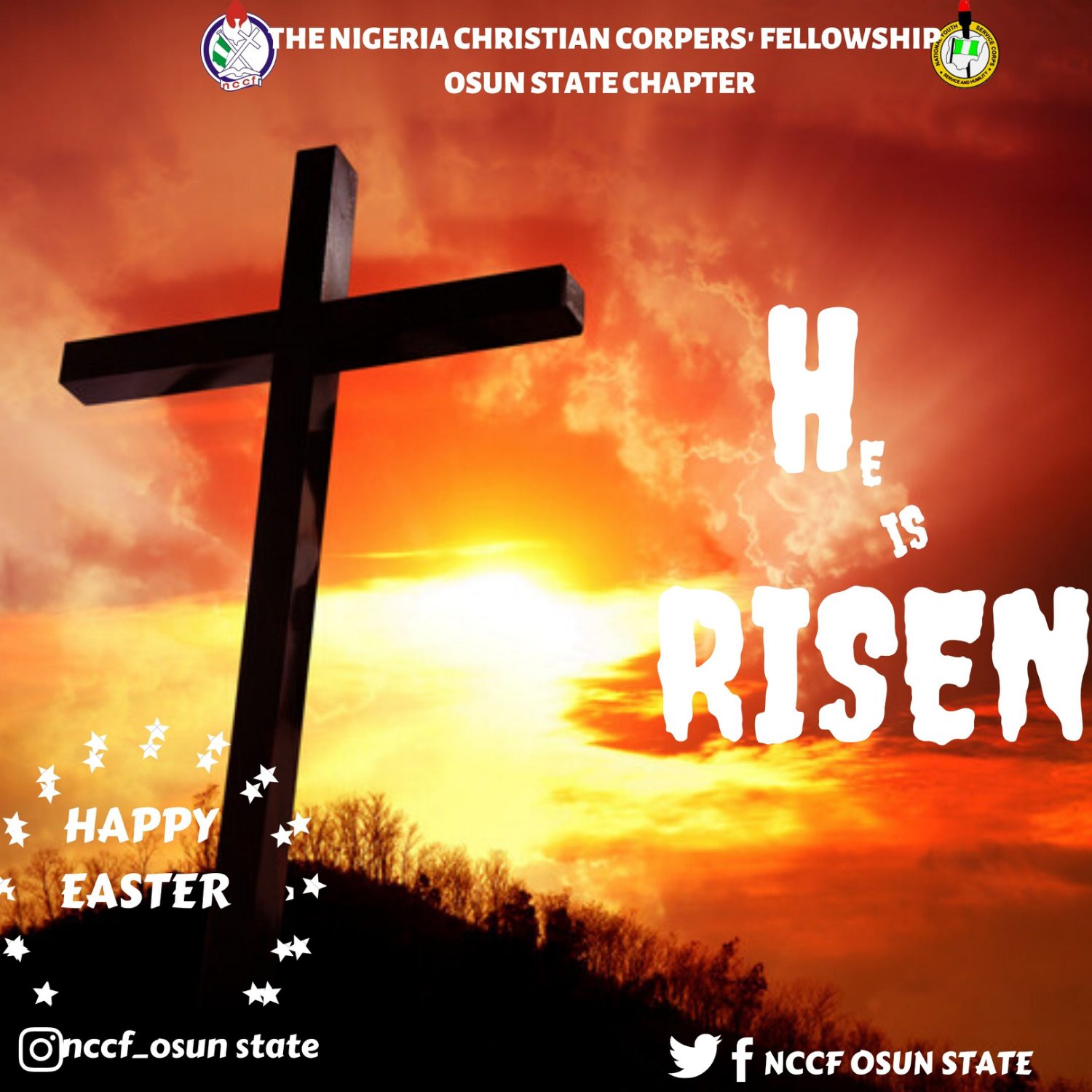 NCCFOSUN's profile banner image