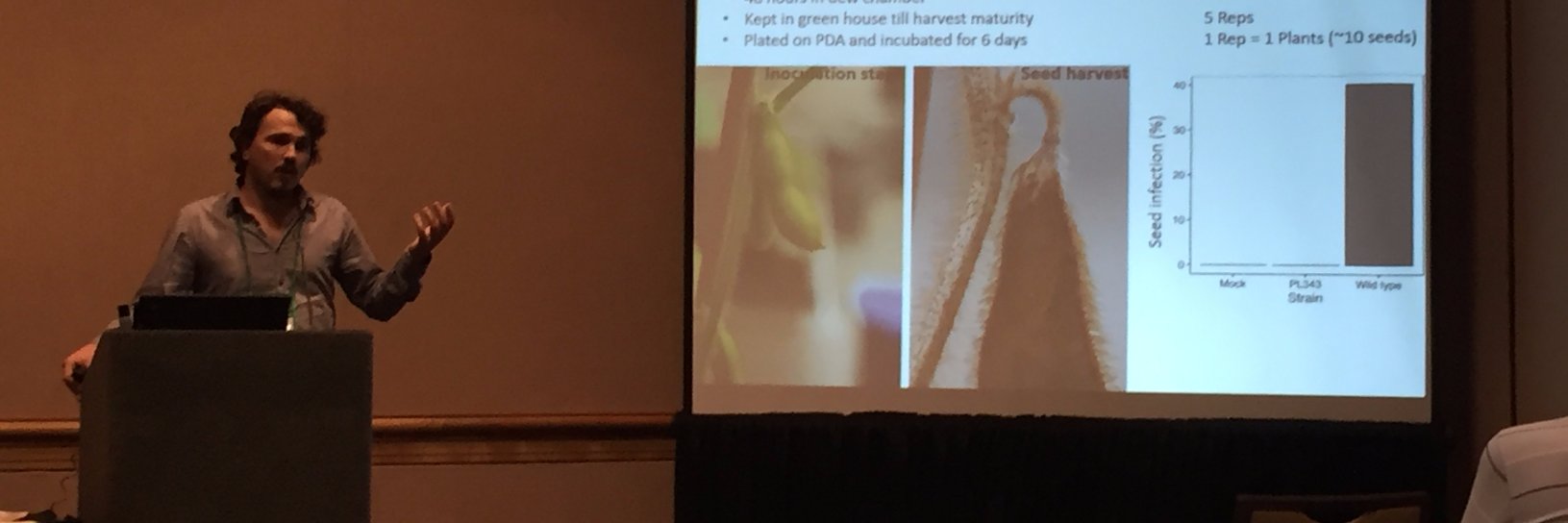 Marcio zaccaron banner