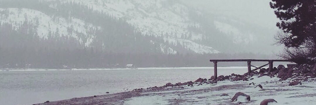 littlemslion's profile banner image